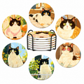 Six different tuxedo cat ceramic coaster designs displayed around a black wire holder.