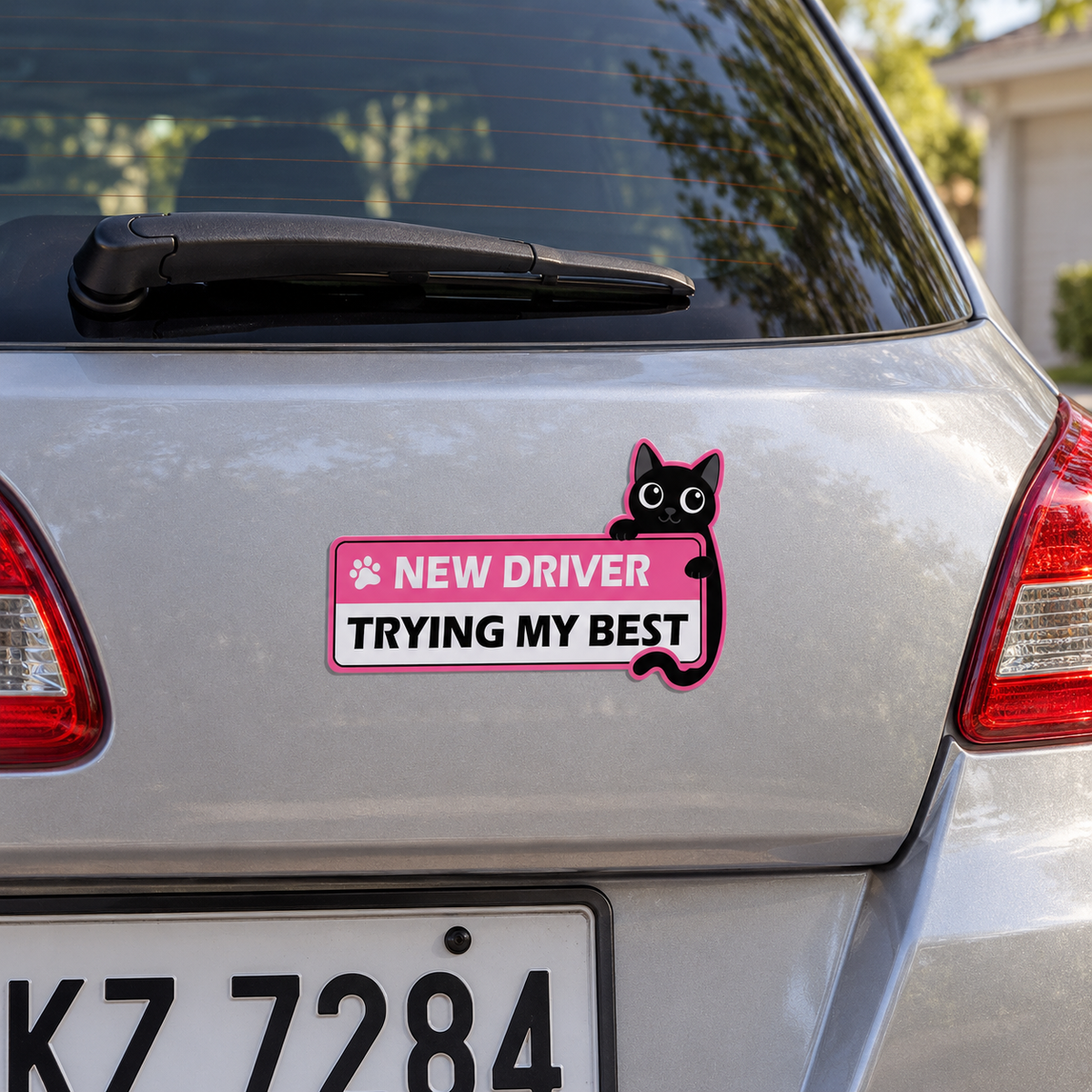 Purrfectly Learning — Glow-in-the-Dark Cat Car Magnets 🐾 ｜4 Designs