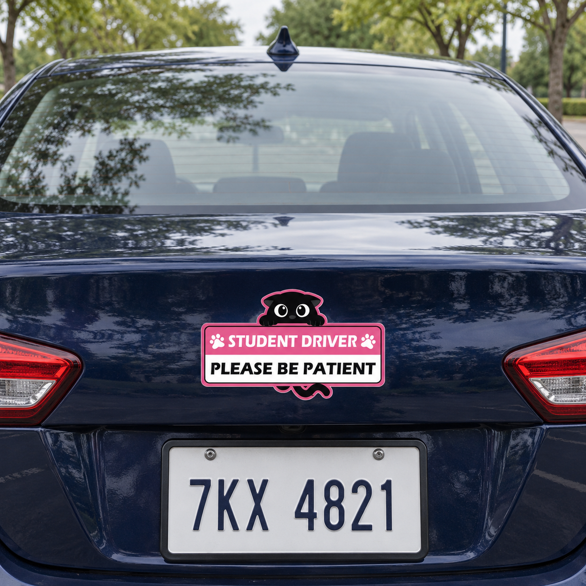 Purrfectly Learning — Glow-in-the-Dark Cat Car Magnets 🐾 ｜4 Designs