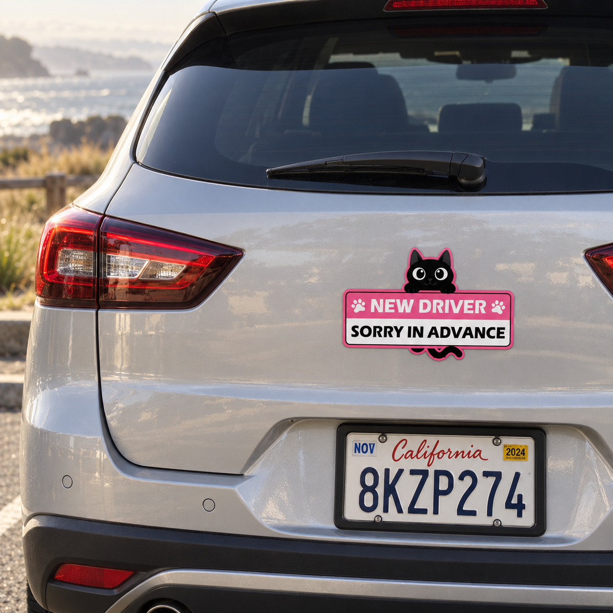 Purrfectly Learning — Glow-in-the-Dark Cat Car Magnets 🐾 ｜4 Designs
