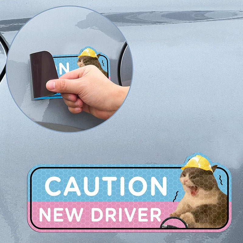 Funny Cat New Driver Magnetic Car Sign Set | 4 Pcs, Real Photo Print