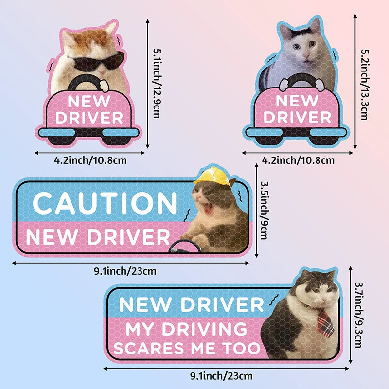 Funny Cat New Driver Magnetic Car Sign Set | 4 Pcs, Real Photo Print
