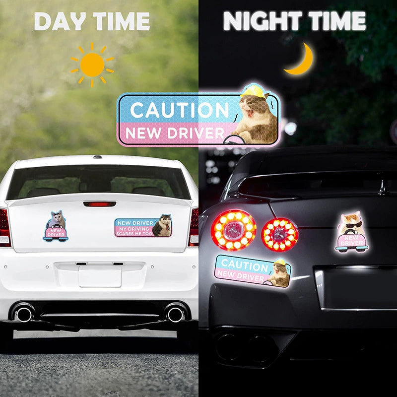 Funny Cat New Driver Magnetic Car Sign Set | 4 Pcs, Real Photo Print