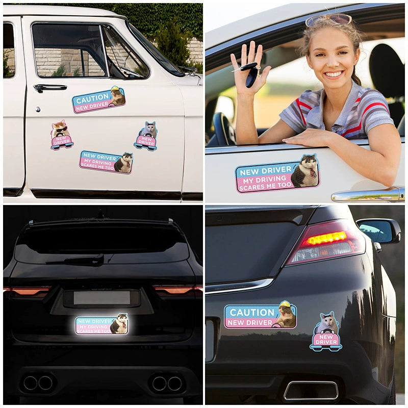 Funny Cat New Driver Magnetic Car Sign Set | 4 Pcs, Real Photo Print