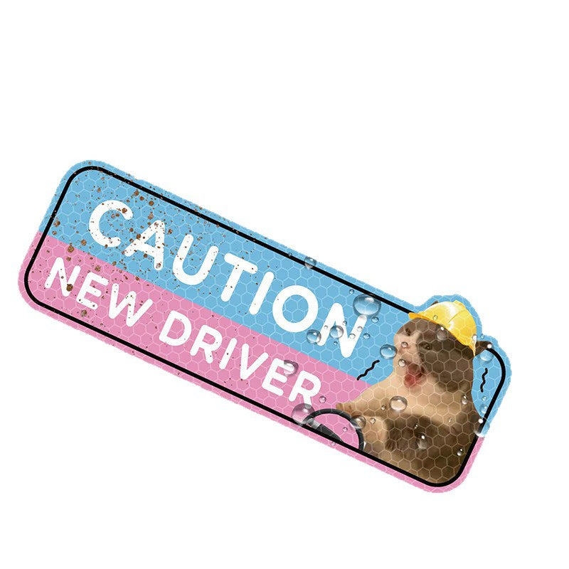 Funny Cat New Driver Magnetic Car Sign Set | 4 Pcs, Real Photo Print