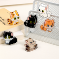 Glossy-Eyed Cat Double-Sided Clips – Set of 6 Acrylic Note & Snack Clips