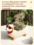 Dachshund Planter - ROOGO Resin Dachshund Pot with Drainage, Desk Decor