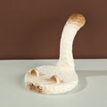 Hand-Carved Cat Phone Stand – Wooden-Style Resin Kitty Desk Holder for Phone & Tablet