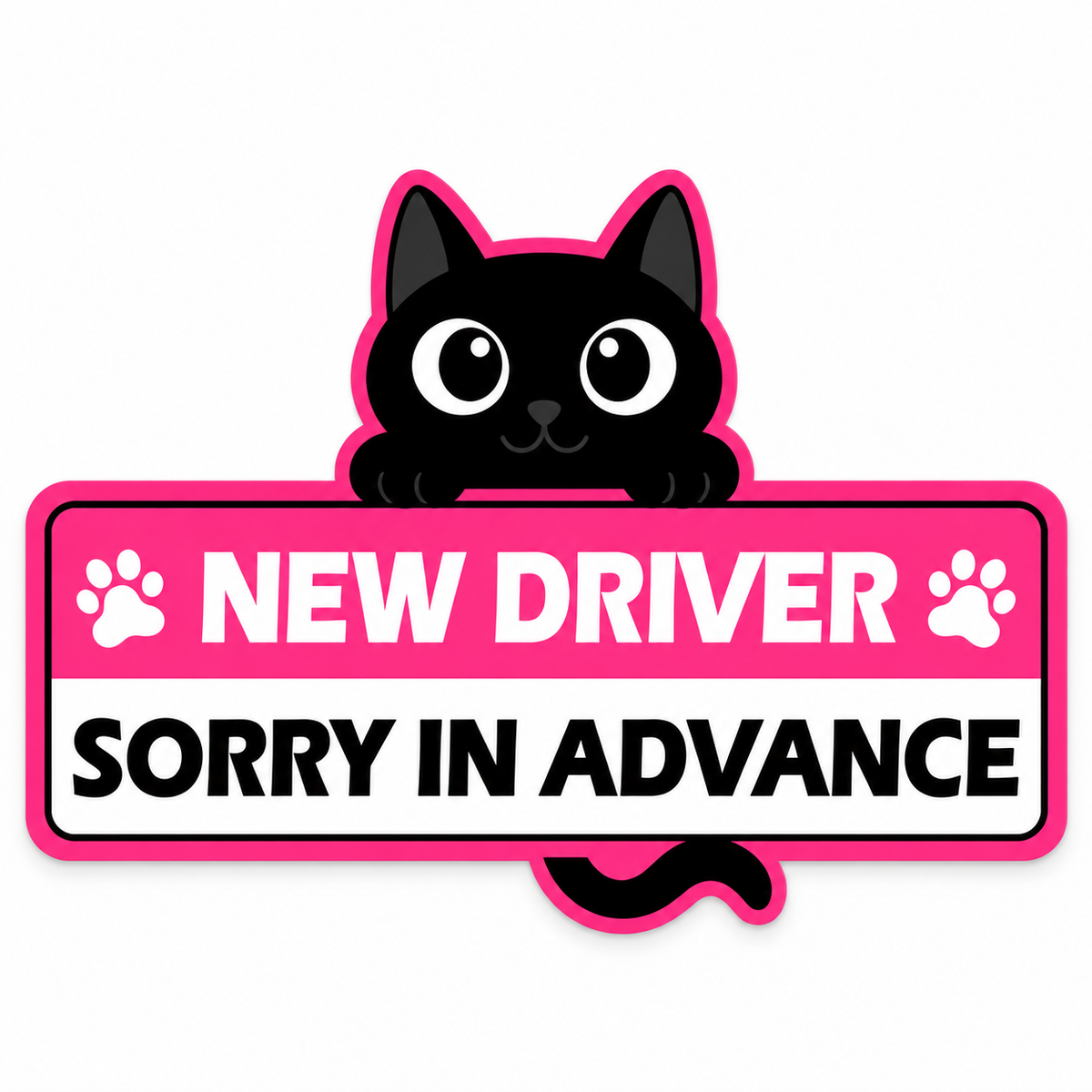 Purrfectly Learning — Glow-in-the-Dark Cat Car Magnets 🐾 ｜4 Designs