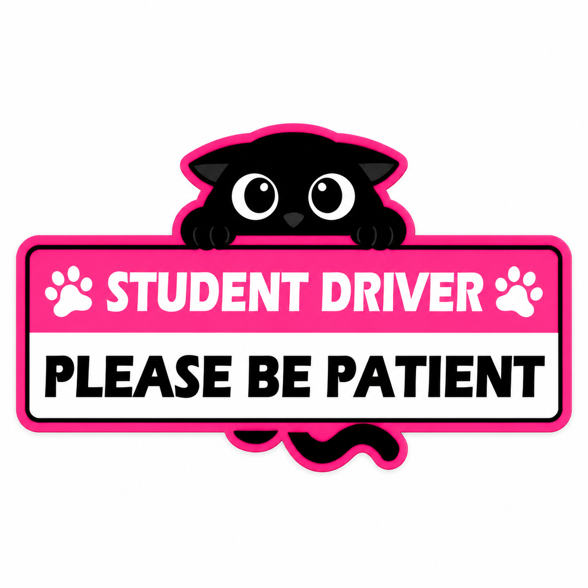Purrfectly Learning — Glow-in-the-Dark Cat Car Magnets 🐾 ｜4 Designs