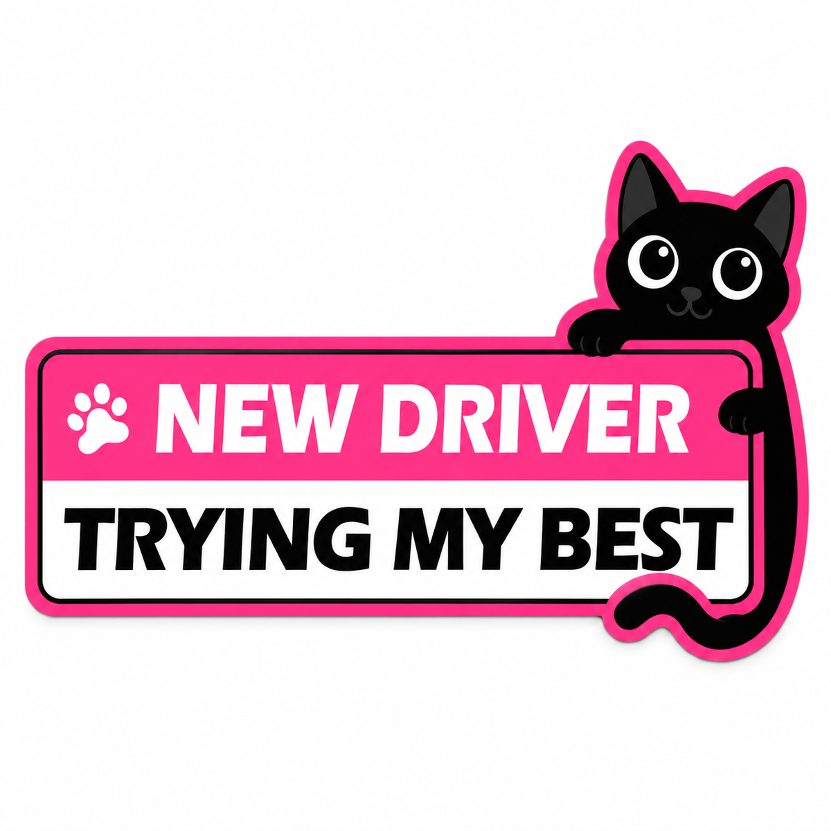 Purrfectly Learning — Glow-in-the-Dark Cat Car Magnets 🐾 ｜4 Designs