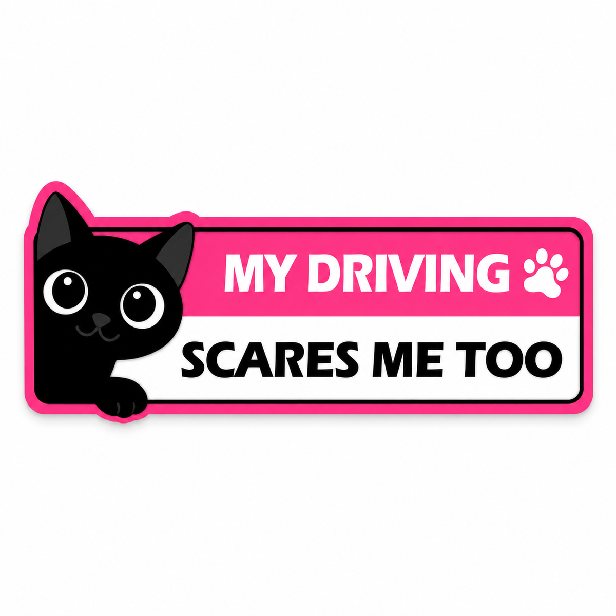 Purrfectly Learning — Glow-in-the-Dark Cat Car Magnets 🐾 ｜4 Designs