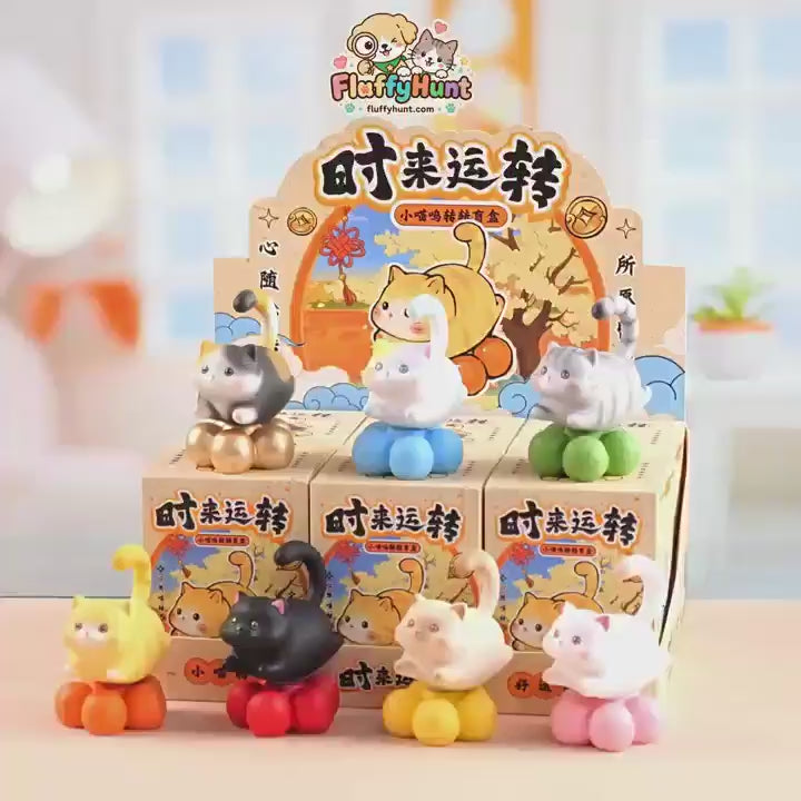 Lucky Little Cats – Pumpkin Base Cat Blind Box, 6 Designs + Secret (1 Box / Full Set)